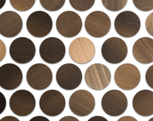 Brushed Cooper Rounds Metal Tile from The Tile Shop